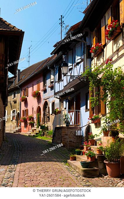 France, Haut Rhin (68), Eguisheim village (elected most beautiful french village), rue du rempart sud street