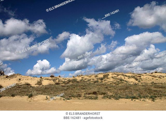 Sand dunes in the Nature reserve Kootwijkerzand