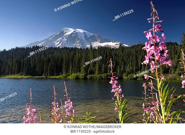 Reflection Lakes with Mount Rainier, Mount Rainier National Park, Washington, USA