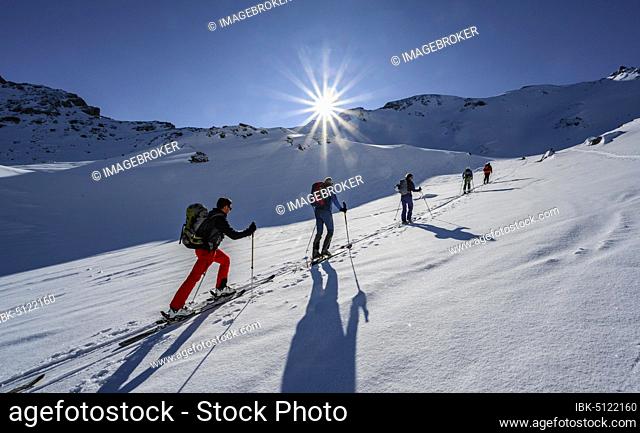 Ski tourers in winter, sunshine and blue sky, ascent to the Geierspitze, Wattentaler Lizum, Tux Alps, Tyrol, Austria, Europe