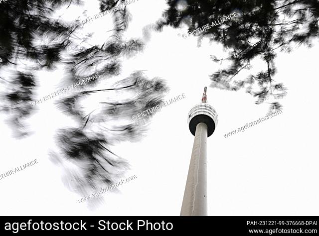 21 December 2023, Baden-Württemberg, Stuttgart: Branches of a tree move in stormy winds in front of the Stuttgart television tower