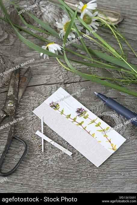 Create name cards next to vintage scissors and chamomile