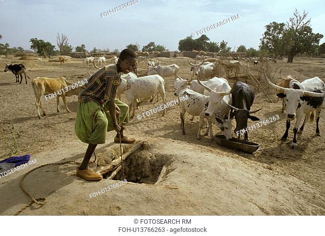 well, person, traditional, mali, 3087, people