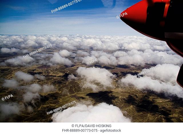 cumulus humilis clouds photographed from a plane flying over the falkland islands