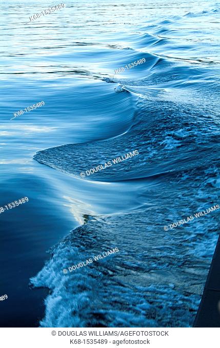 Waves from the wake of a boat