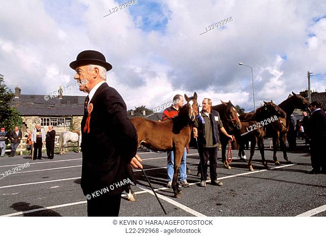 Horses and ponies fair. Westport, Co. Mayo. Ireland