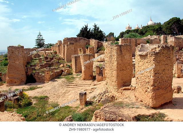 Ancient Carthage, antique city, Tunisia, Africa