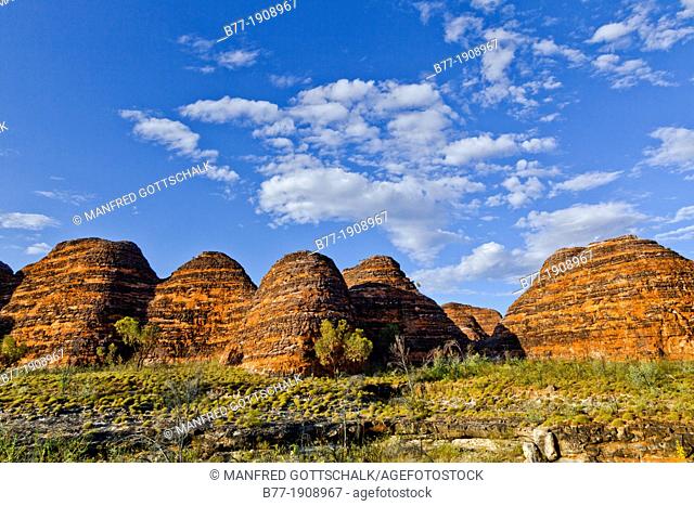Australia, Western Australia, The Kimberley Region, Bungle Bungle National Park, Purnululu, view of the characteristic beehive shaped sandstone domes