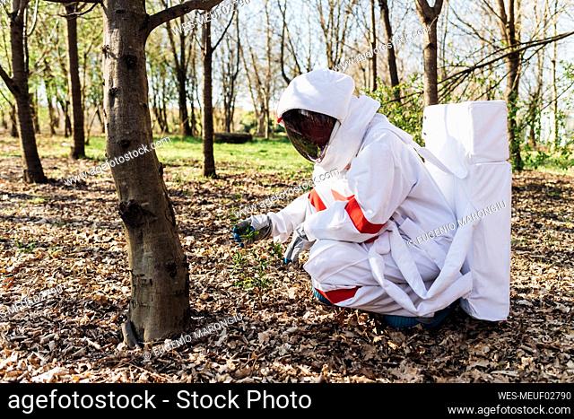 Female astronaut in space suit and space helmet crouching while searching in forest