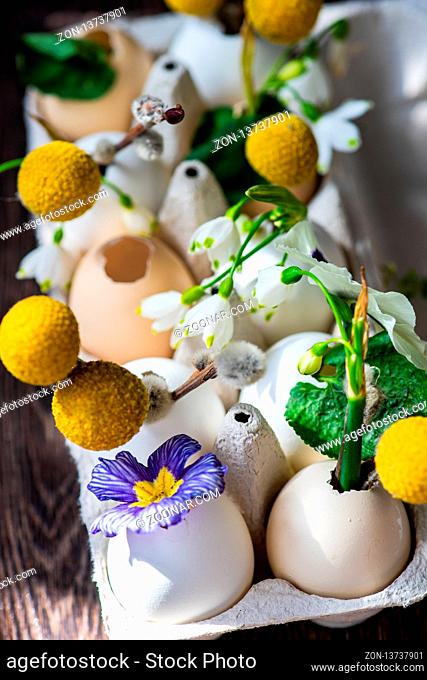 Easter holiday natural composition with first spring flowers like tricolor violas and primerose , colored eggs