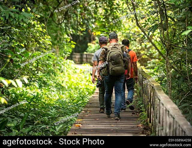 The boardwalk in Niah National Park in Sarawak Malaysia, walked by three people, tourists going to the famous Niah caves