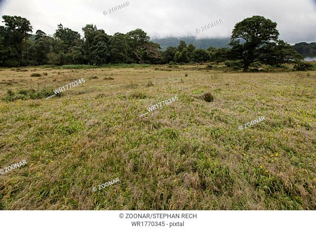 Landscape in Killarney National Park in Ireland