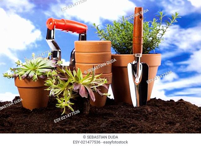 Gardening concept, work tools, plants