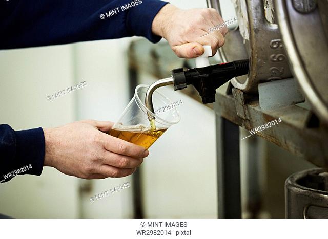 Man drawing foaming amber liquid, beer from a metal keg in a brewery for testing