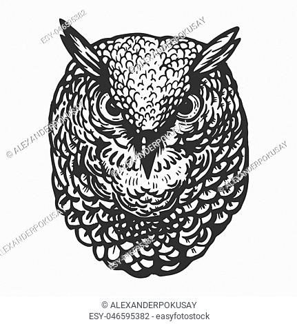 Owl bird head animal engraving vector illustration. Scratch board style imitation. Black and white hand drawn image