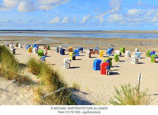 Colourful beach chairs on Utersum's sandy beach directly beside dunes and with the neighbouring island Amrum on the horizon, 1 August 2018 | usage worldwide