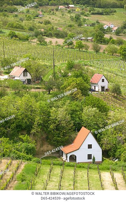 Vineyard View from Calvary Hill. Szekszard. Southern Transdanubia. Hungary. 2004