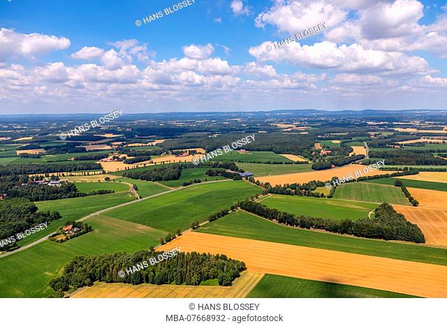 Aerial view, fields and meadows near Milte, Gerstenbrock, Warendorf, MÃ¼nsterland, North Rhine-Westphalia, Germany, Europe