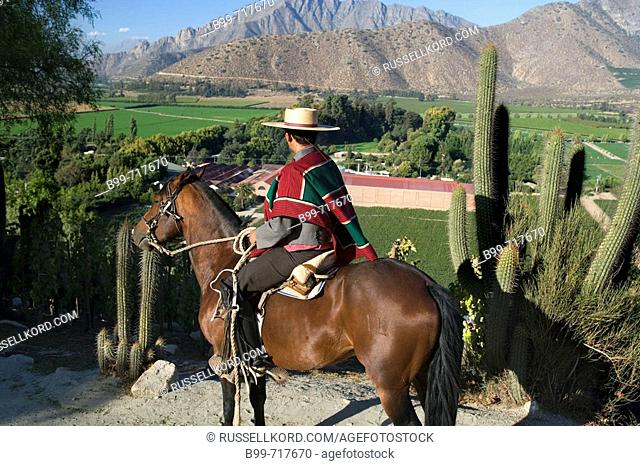Huaso Wearing Chupalla Hat Don Maximiano Estate Vina Errazuriz Winery Aconcagua Valley Chile