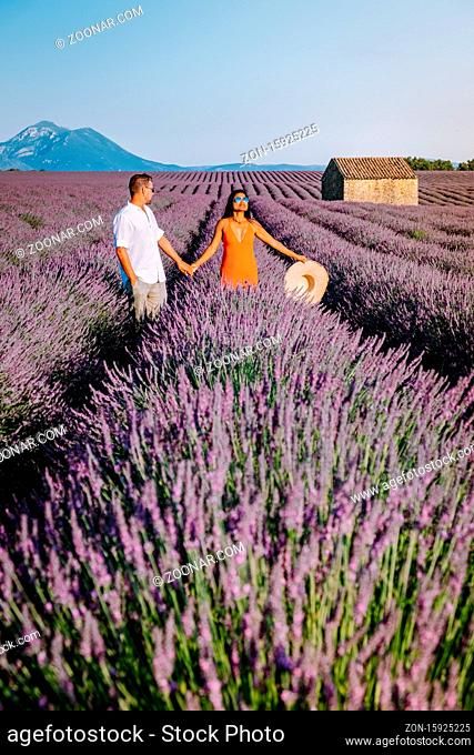 Provence, Lavender field France, Valensole Plateau, colorful field of Lavender Valensole Plateau, Provence, Southern France. Lavender field. Europe