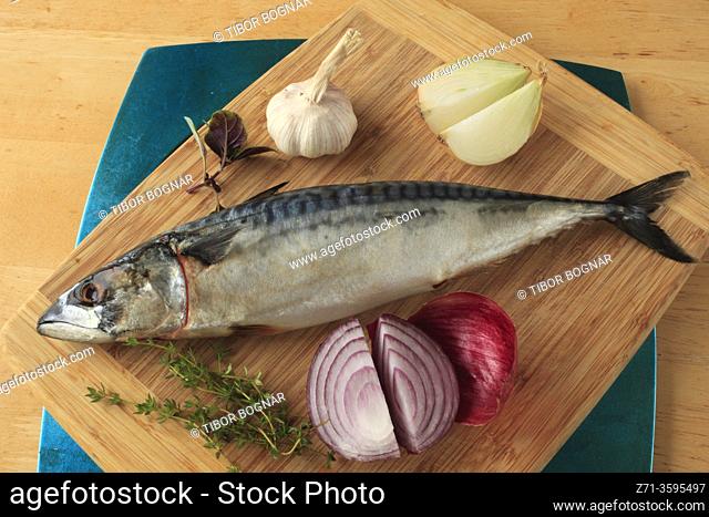Mackerel, fish, onions, garlic, thymus,