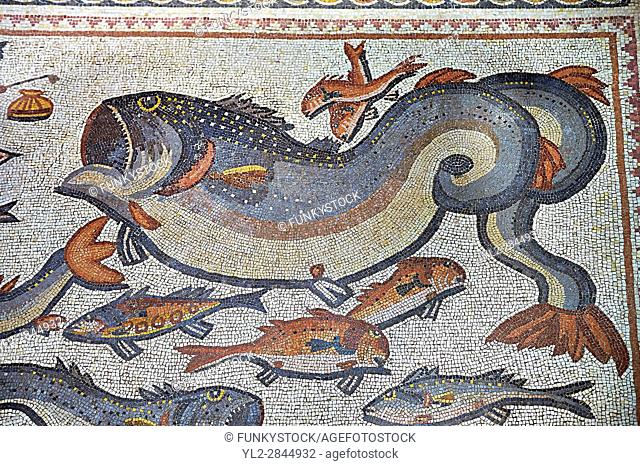 Fish and marine life from the 3rd century Roman mosaic villa floor from Lod, near Tel Aviv, Israel. The Roman floor mosaic of Lod is the largest and best...