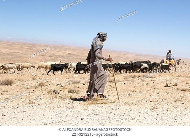 Bedouin herdsman along King's Highway, Jordan