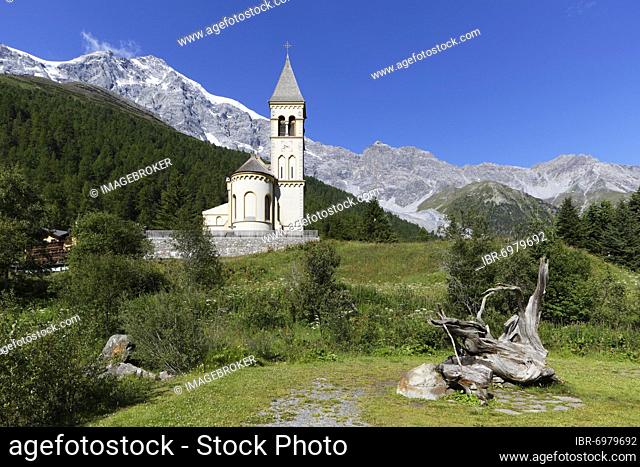 Mountain meadow with old root, parish church of St. Gertaud, Ortler massif in the back, mountain village of Sulden, Solda