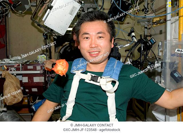 Japan Aerospace Exploration Agency (JAXA) astronaut Koichi Wakata, Expedition 1920 flight engineer, is pictured near a tomato floating freely in the Zvezda...