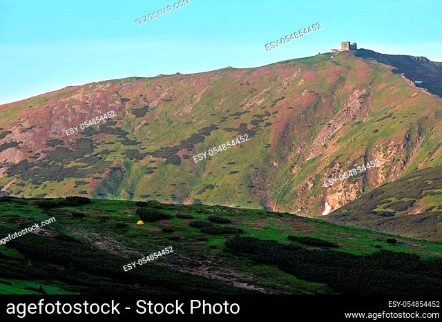 Massif of Pip Ivan with the ruins of the observatory on top. Pink rhododendron flowers on summer mountain slope, Carpathian, Chornohora, Ukraine