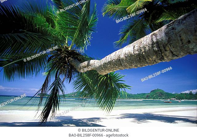 A dream beach on the island Praslin on the Seychelles in the Indian ocean
