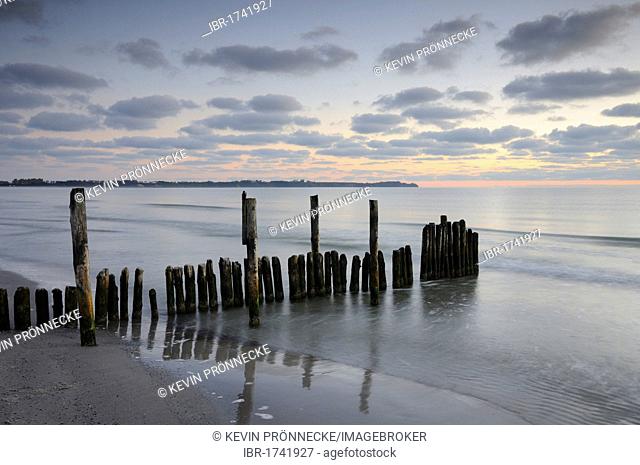 Groyne at sunrise on the beach of Juliusruh, Ruegen, Mecklenburg-Western Pomerania, Germany, Europe