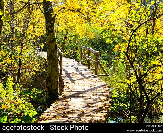Autumm Fall season Plitvice lakes Croatia Europe