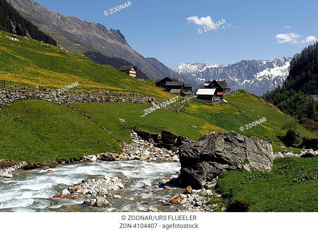 Europa, Schweiz, Zentralschweiz, Gotthard, Sustenpass, Meiental,  (Urs Flueeler)