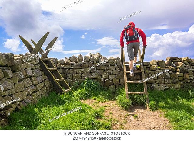 A hiker crosses a stile on the Hadrians Wall Walk at Crag Lough in Northumberland, England, UK