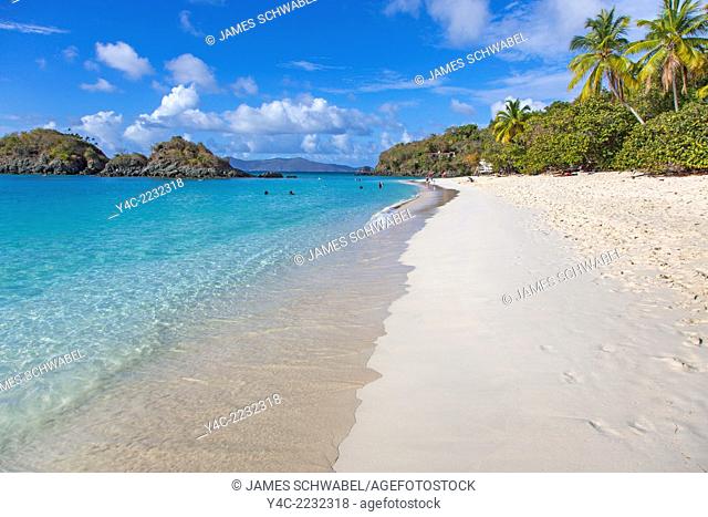 Trunk Bay and Beach on the Caribbean Island of St John in the US Virgin Islands