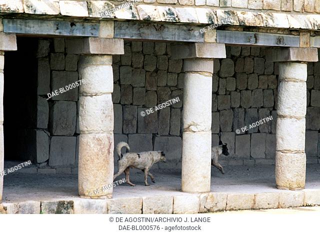 Portico near the Pyramid of the Magician, Uxmal (Unesco World Heritage List, 1996), Yucatan, Mexico. Mayan civilisation