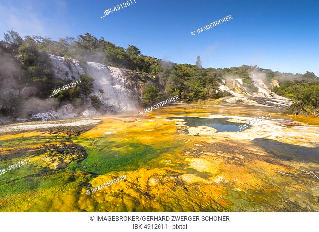 Rainbow and Cascade Terrace, Steaming Hot Spring with Sinter Deposits, Orakei Korako Geothermal Park, Geothermal Area, Hidden Valley, Taupo Volcanic Zone