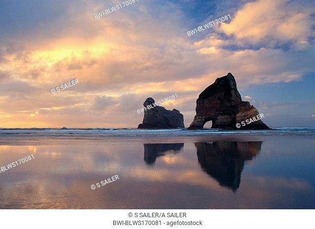 Rocky Islands, by powerful surf sculpted rock islands with caves and arches at Wharariki beach at sunset, New Zealand, Southern Island, Golden Bay
