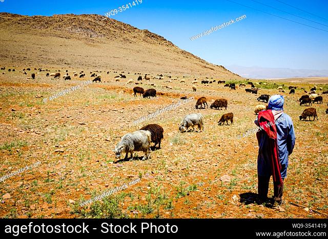 Shepherds with their flock of goats and sheep in the Atlas Mountains, Morocco
