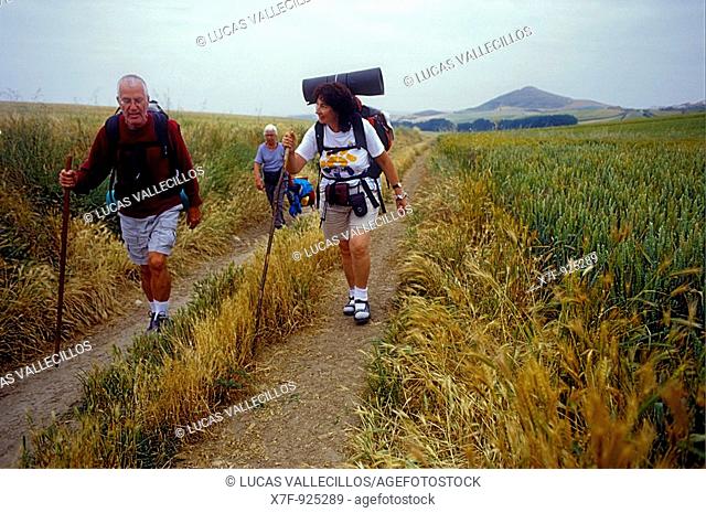 Pilgrims walking near Belorado  Burgos province Spain  Camino de Santiago