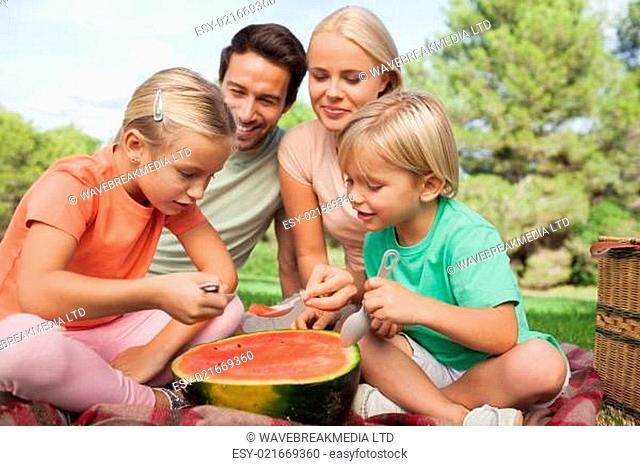 Happy family having watermelon at a picnic sitting in the park