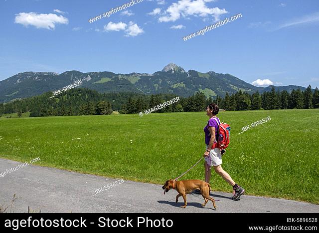 Hiker with dog at the glider airfield, behind Wendelstein, Geitau, Upper Bavaria, Bavaria, Germany, Europe