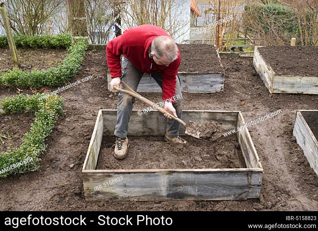Cold frame, manure bed, soil is filled in