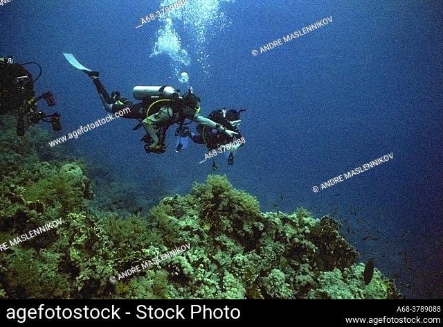 Divers in the water outside Sharm El-sheikh. Egypt