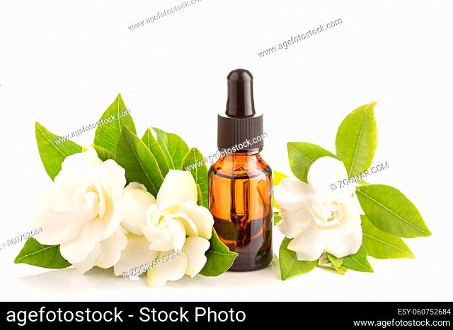 Gardenia essential oil on glass bottle with dropper isolated on white background