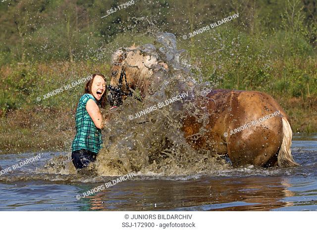 Haflinger Horse. Young woman with her horse in a pond