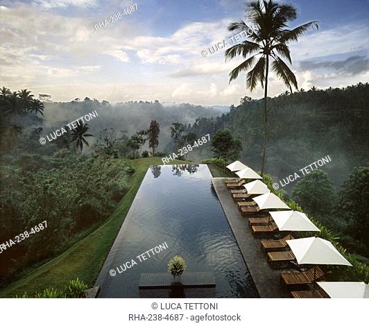 Pool of Alila Hotel Ubud, formerly The Chedi, Ubud, Bali, Indonesia, Southeast Asia, Asia