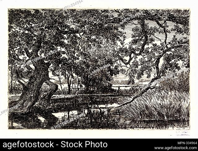 Wooden bridge across stream, gnarled tree at left. Avery, Samuel Putnam, 1822-1904 (Collector) Michelin, Jules (1817-1870) (Artist) Lalanne