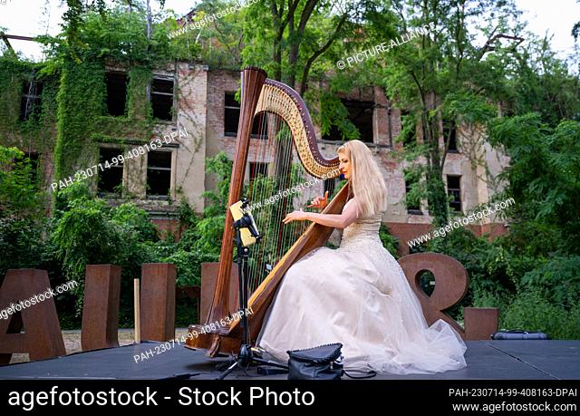 14 July 2023, Brandenburg, Beelitz: The musician Simonetta Ginelli plays on her harp in the evening on the grounds of the treetop path ""Tree & Time"" in...